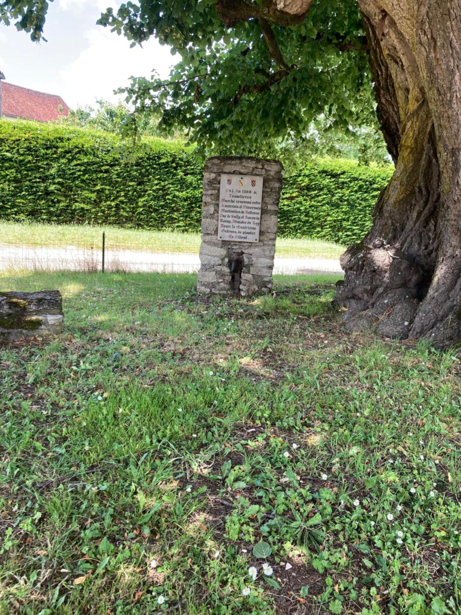 Longere Campagne 10 Pers. Proche Guedelon Villa Sougeres-en-Puisaye Eksteriør billede