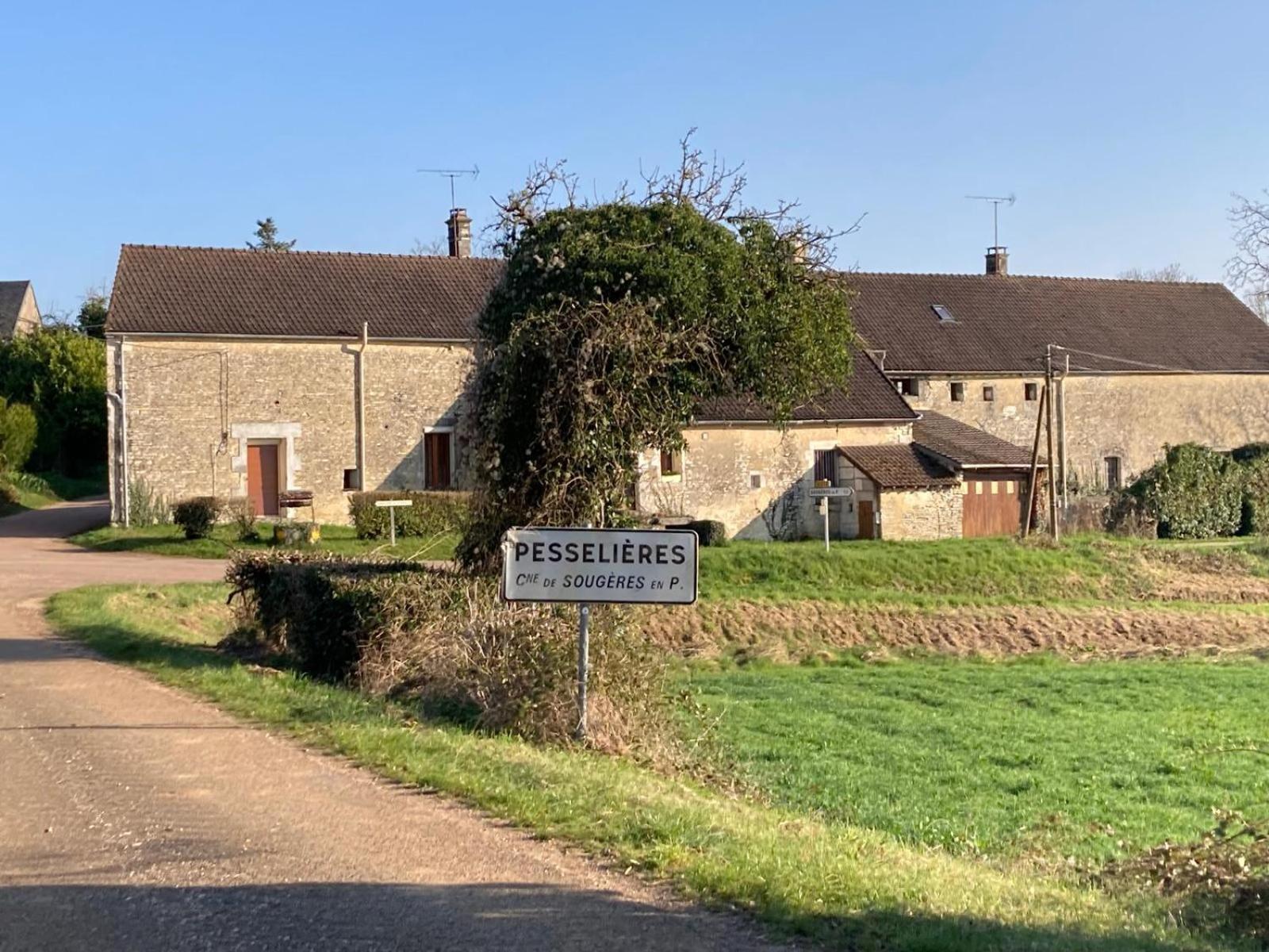 Longere Campagne 10 Pers. Proche Guedelon Villa Sougeres-en-Puisaye Eksteriør billede